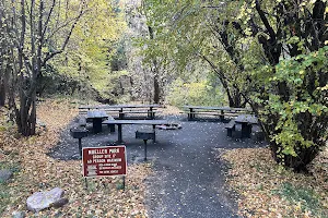 Mueller Park Picnic Area image