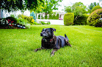 Jon Sneider | Healthy Lawn & Tree