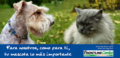 Centro Veterinario Abodi en Barañáin