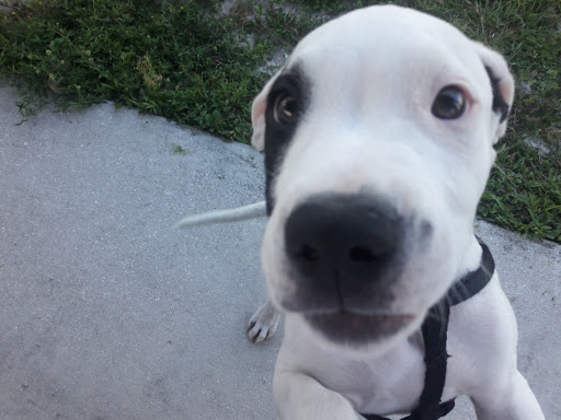 Campground «Savannas Recreation Area», reviews and photos, 1400 E Midway Rd, Fort Pierce, FL 34982, USA