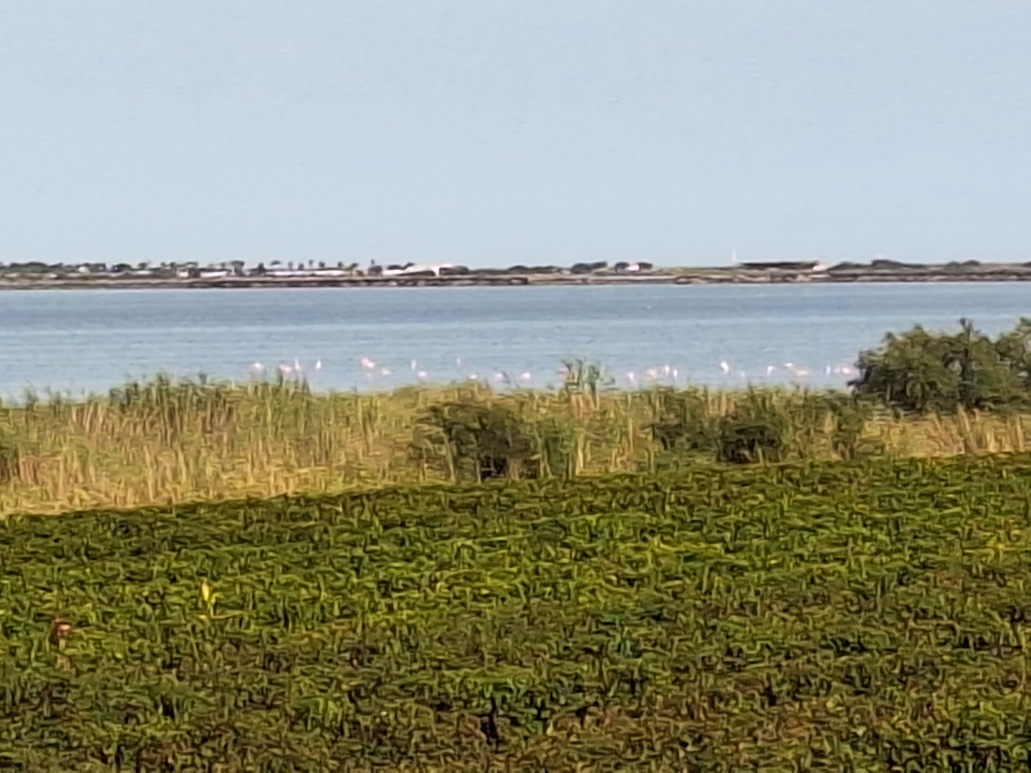 Photo n° 2 de l'avis de danny.e fait le 29/09/2023 à 07:51