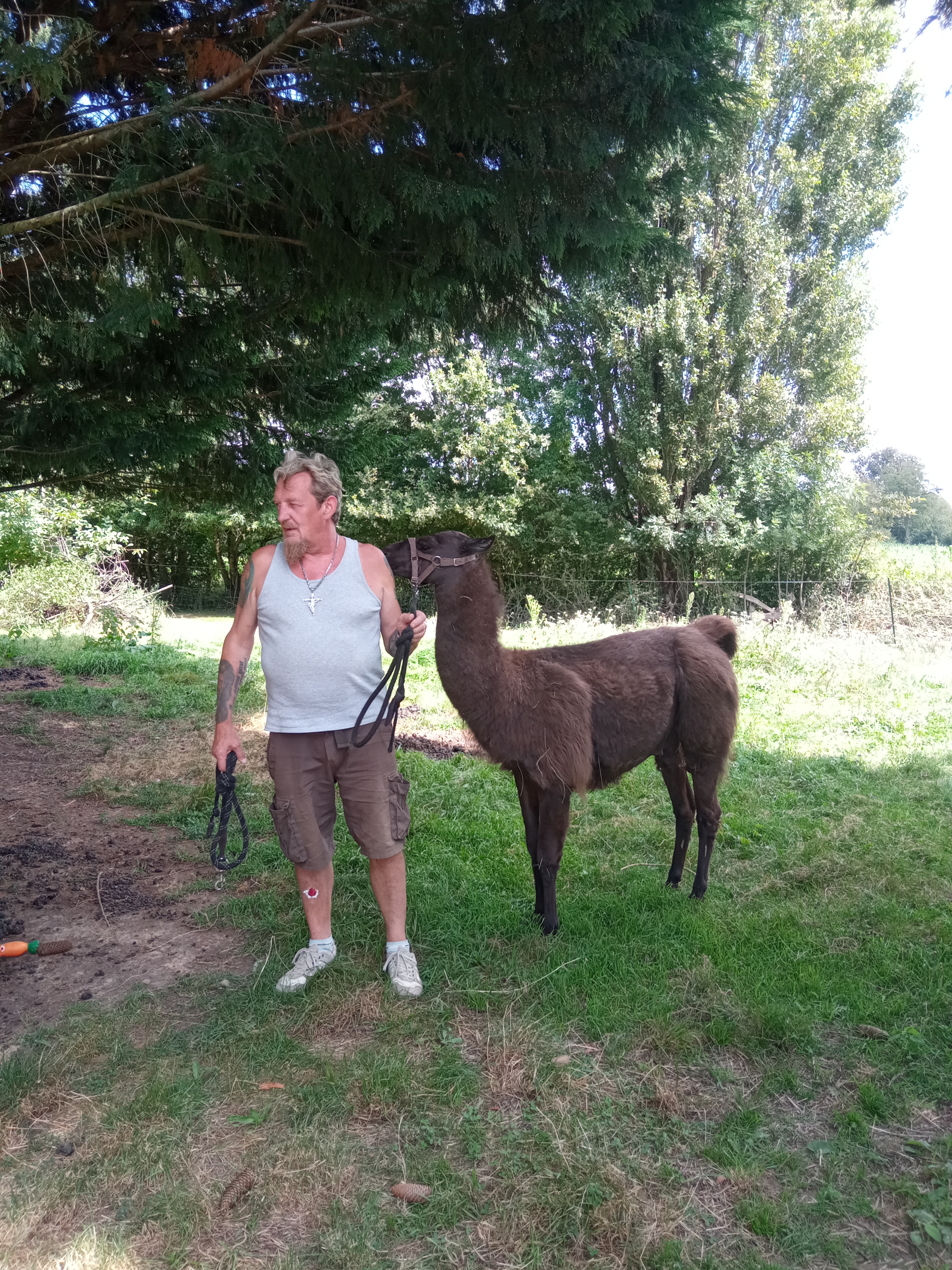 Photo n° 3 de l'avis de bribri.r fait le 31/08/2021 à 14:54