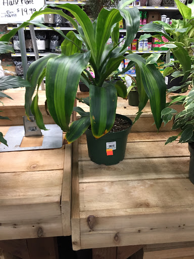 Hardware Store «McLendon Hardware», reviews and photos, 11307 Canyon Rd E, Puyallup, WA 98373, USA