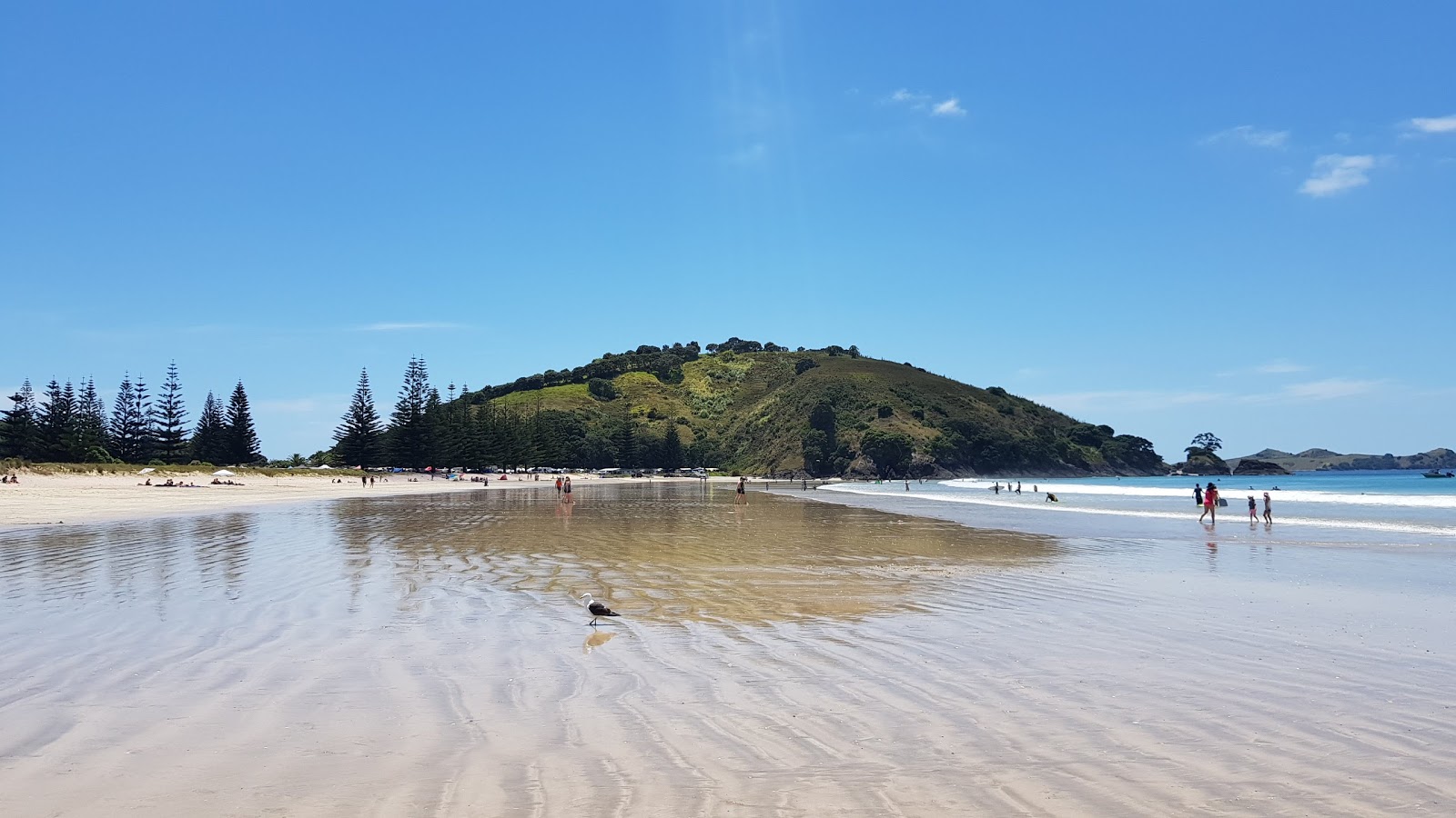 Foto von Matauri Bay Beach mit beiger sand Oberfläche