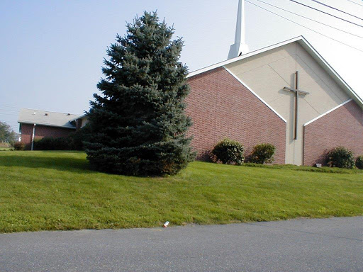 General Contractor «Alfero Company Inc.», reviews and photos