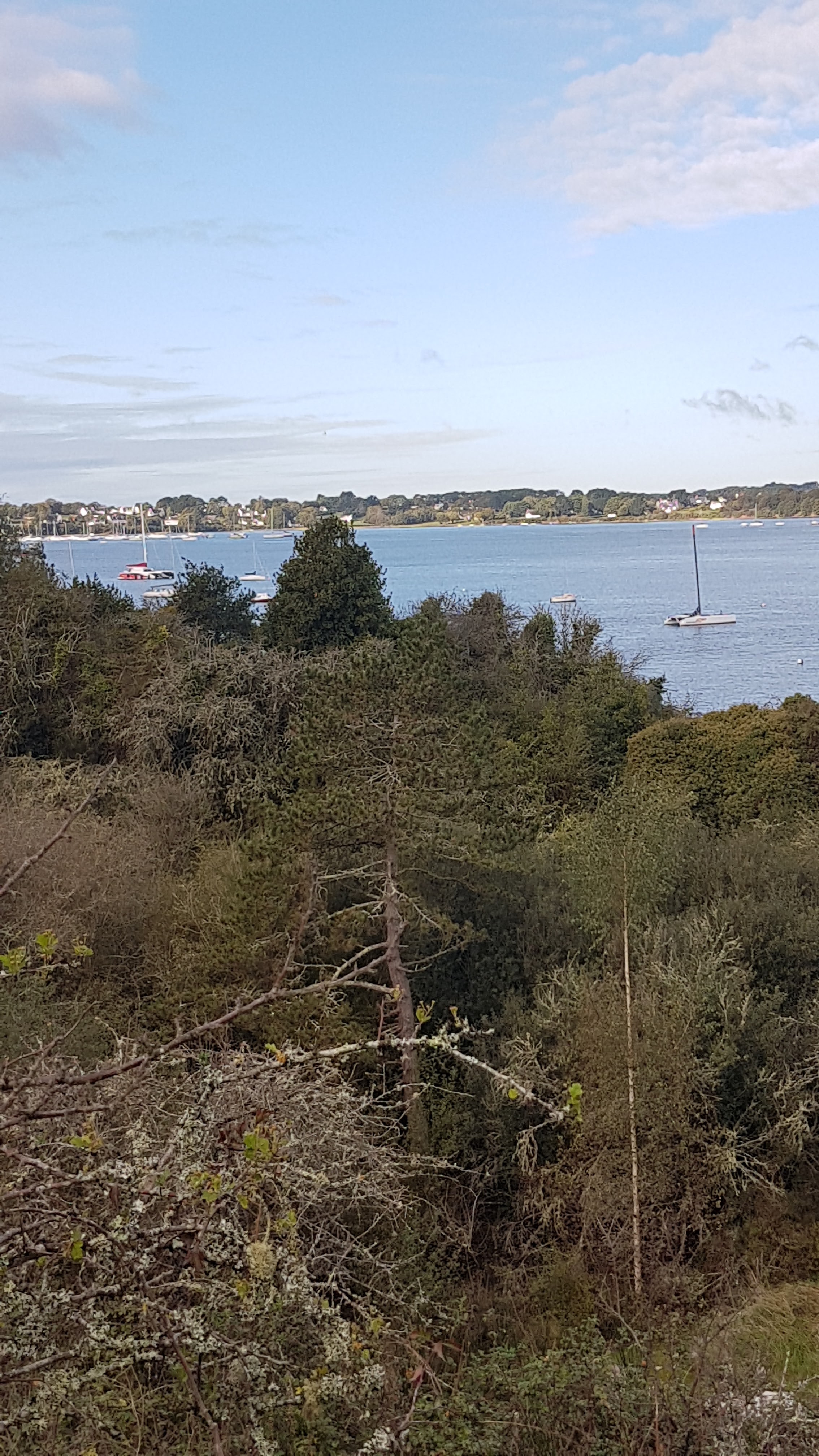 Photo n° 13 de l'avis de Mostrey.a fait le 09/10/2020 à 12:36