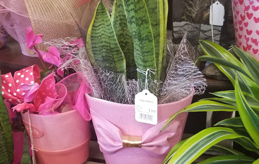 Grocery Store «Vons», reviews and photos, 932 E Badillo St, Covina, CA 91724, USA