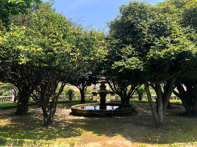 Jardins do Palácio Vila Flor - Jardinagem