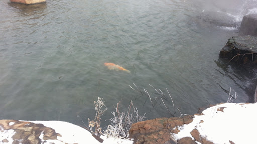 Park «Frisco Central Park», reviews and photos, 3155 Parkwood Blvd, Frisco, TX 75034, USA