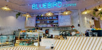 Atmosphère du Café Bluebird coffee shop, bagels, bento sando & cookies à Rennes - n°2