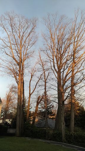 Park «Palisades Park Recreation Area», reviews and photos, 676 Undercliff Ave, Edgewater, NJ 07020, USA