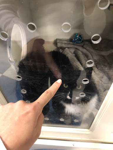 Pet Supply Store «Petco Animal Supplies», reviews and photos, 7625 Jolly Ln, Brooklyn Park, MN 55428, USA