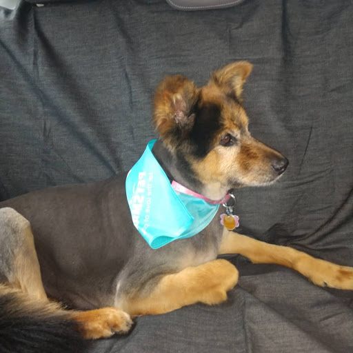 Pet Supply Store «PetSmart», reviews and photos, 6370 W Indiantown Rd, Jupiter, FL 33458, USA