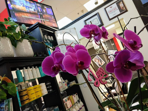 Beauty Salon «Why Not Silvia’s Beauty Salon», reviews and photos, 520 West Ave, Norwalk, CT 06850, USA