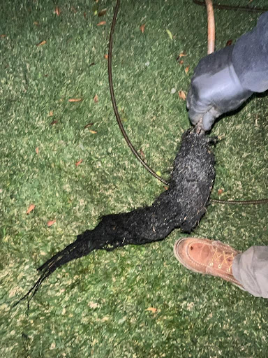 Redhead Rooter Drain Cleaning & Hydrojetting image