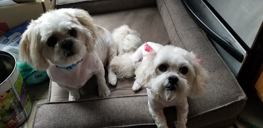 Pet Store «PetSmart», reviews and photos, 10451 Baltimore St NE, Blaine, MN 55449, USA