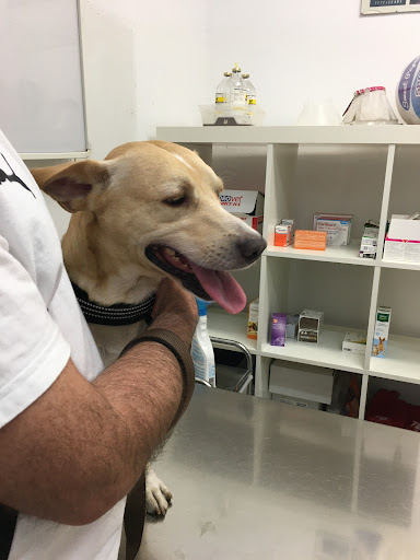 Clínica Veterinaria Jurado Giannini en Madrid