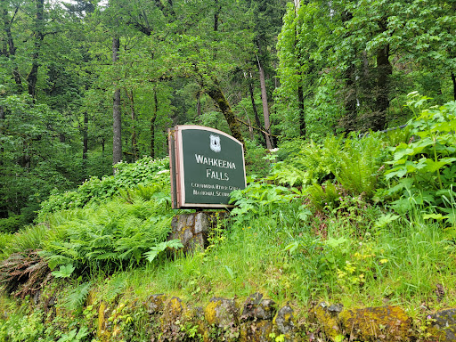 Tourist Attraction «Wahkeena Falls», reviews and photos, Wahkeena Trail #420, Corbett, OR 97019, USA
