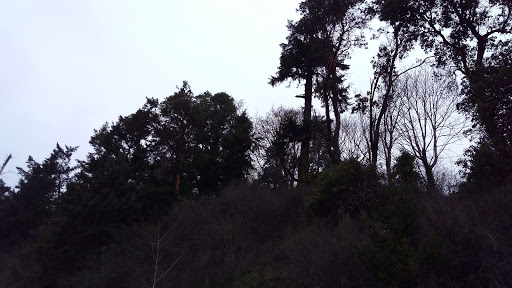 Park «Marine View Park», reviews and photos, 20945 Marine View Dr SW, Normandy Park, WA 98166, USA