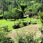 Photo n°5 de l'avis de cecilia.o fait le 02/06/2019 à 14:30 sur le  Trattoria Malvina à Grizzana Morandi