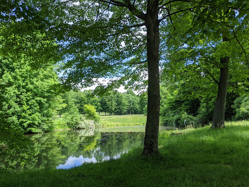 Golf Course «Wicked Woods Golf Club», reviews and photos, 14085 Ravenna Rd, Newbury Township, OH 44065, USA