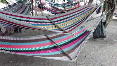 Photos of Travel and Tour Rent A Car HN
