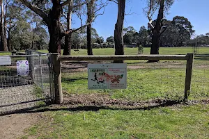 John Butler Reserve Fenced Dog Park image