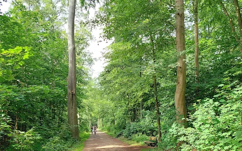 Eilenriede City Forest image