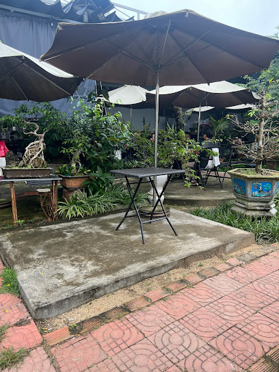 Cafe Sông Trà