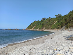 Playa de Castello'in fotoğrafı çok temiz temizlik seviyesi ile