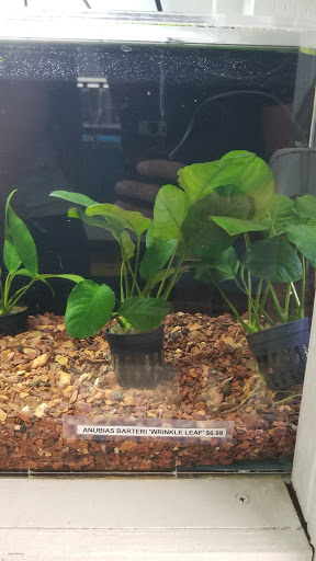 Pet Store «Pet Town», reviews and photos, 7804 Florence Ave, Downey, CA 90240, USA