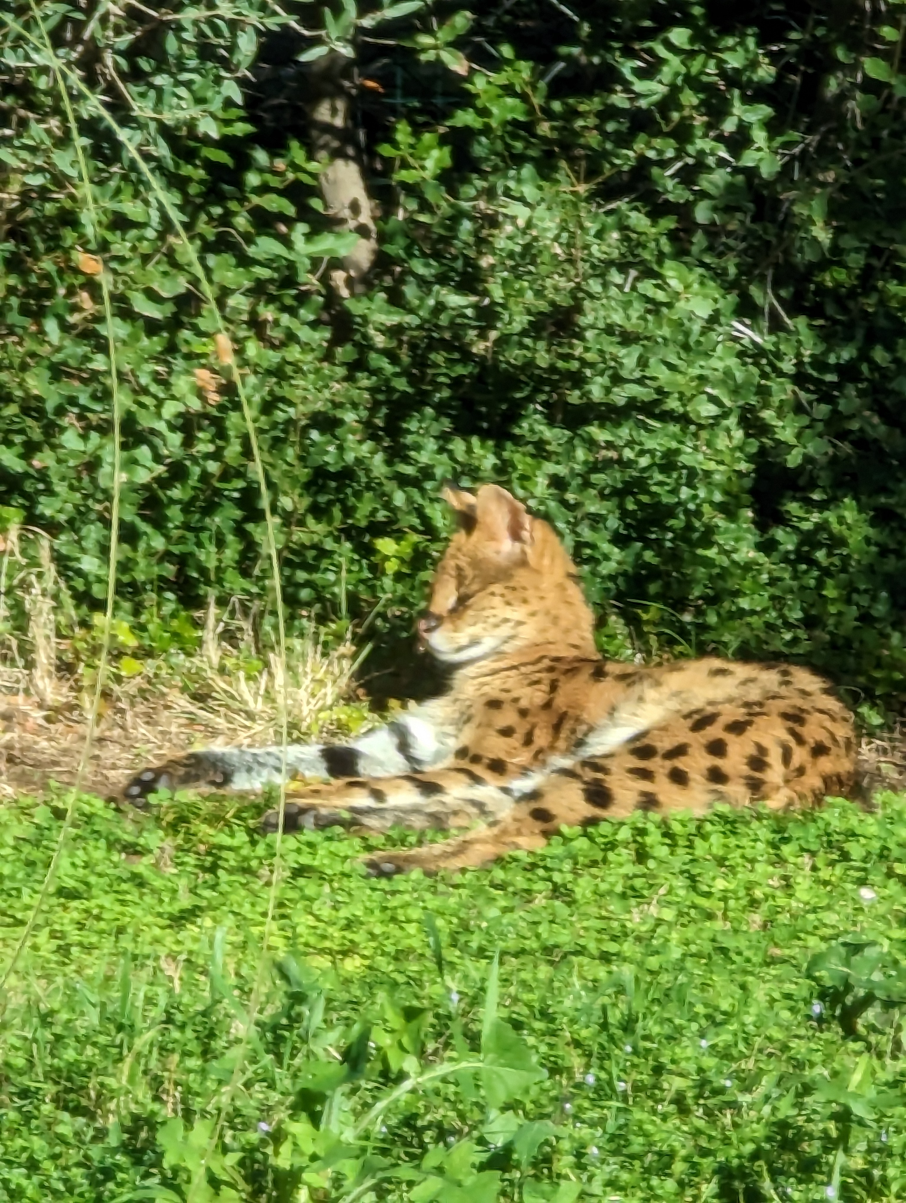 Photo n° 14 de l'avis de nidhin.h fait le 27/12/2022 à 18:11