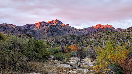 Esperero Trail #25