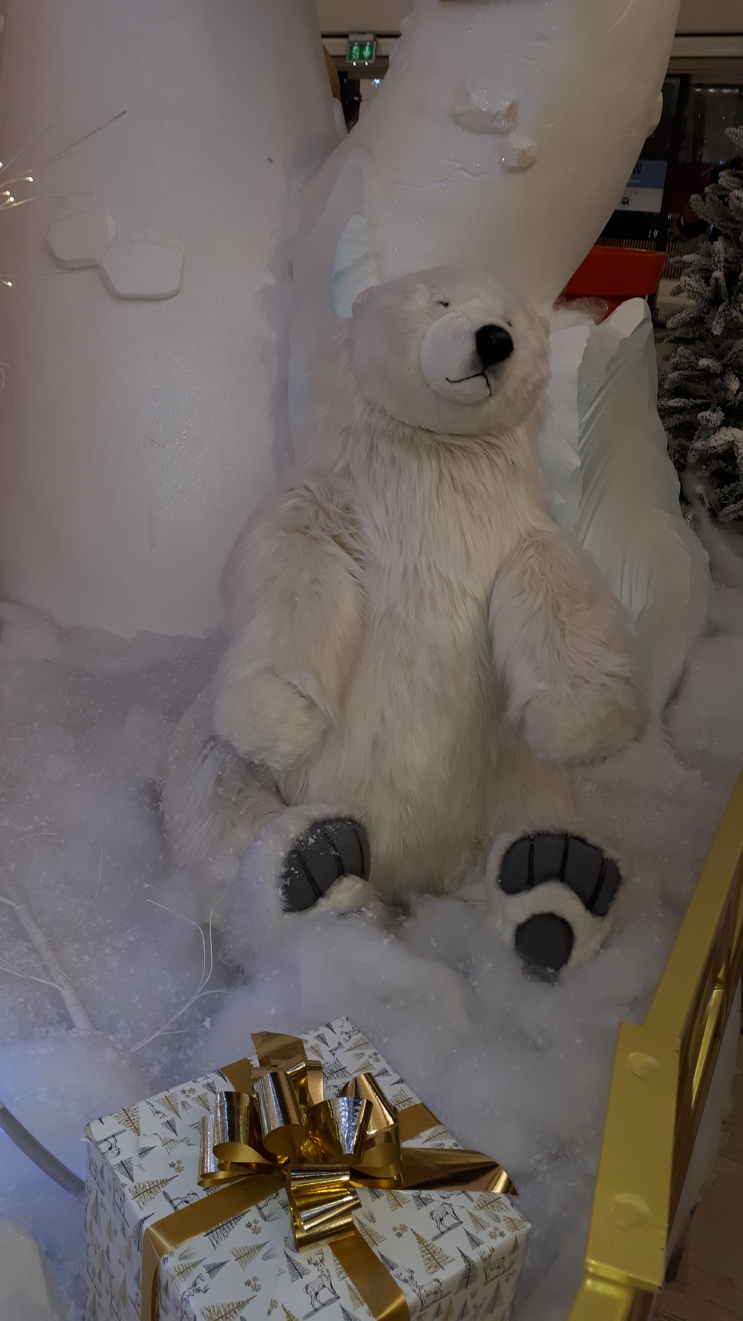 Photo n° 7 de l'avis de nathalie.a fait le 06/12/2019 à 09:01