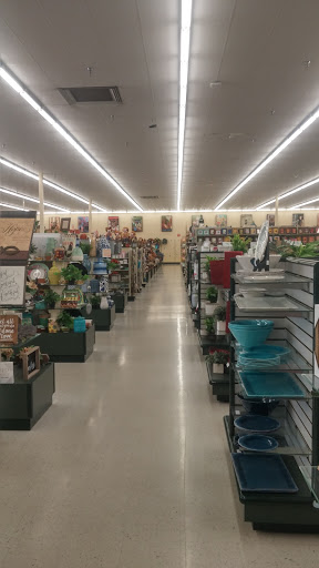 Craft Store «Hobby Lobby», reviews and photos, 4018 S Western Ave, Marion, IN 46953, USA