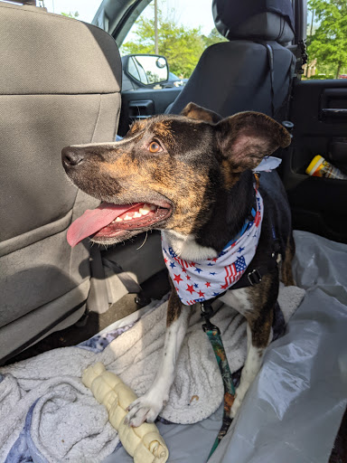 Pet Store «Pet Paradise», reviews and photos, 13478 Carrollton Blvd # P, Carrollton, VA 23314, USA