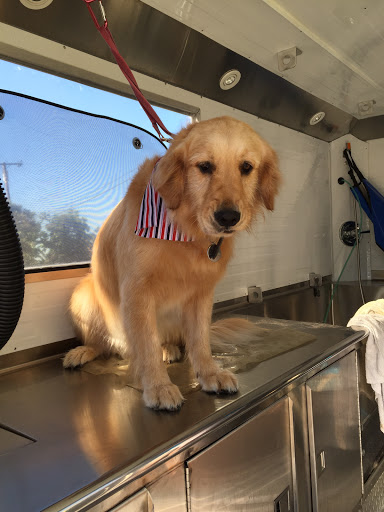 Doggie Glam Mobile Pet Grooming