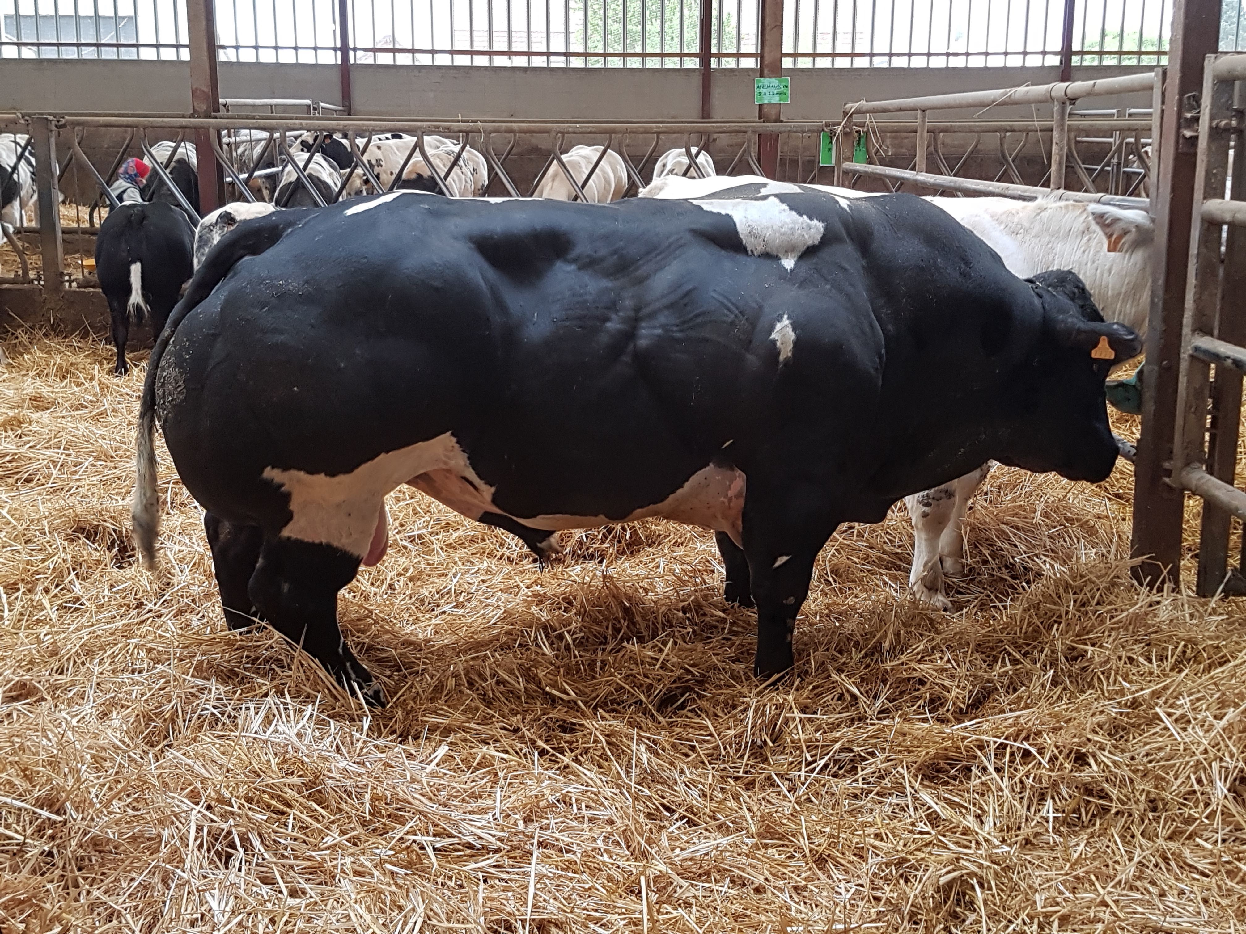 Photo n° 4 de l'avis de Alicia.P fait le 28/04/2019 à 13:27