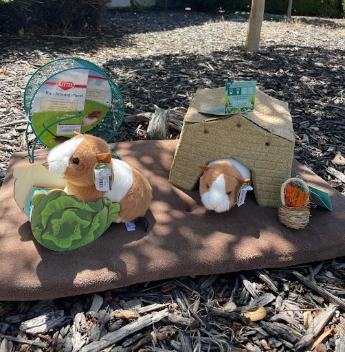 Pet Store «Waggin Tails Pet Supplies», reviews and photos, 32160 Dyer St, Union City, CA 94587, USA