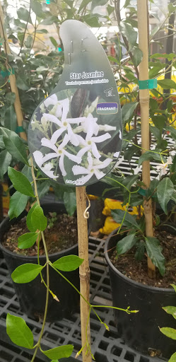 Hardware Store «Johnsons Home & Garden», reviews and photos, 26625 Maple Valley Black Diamond Rd SE, Maple Valley, WA 98038, USA