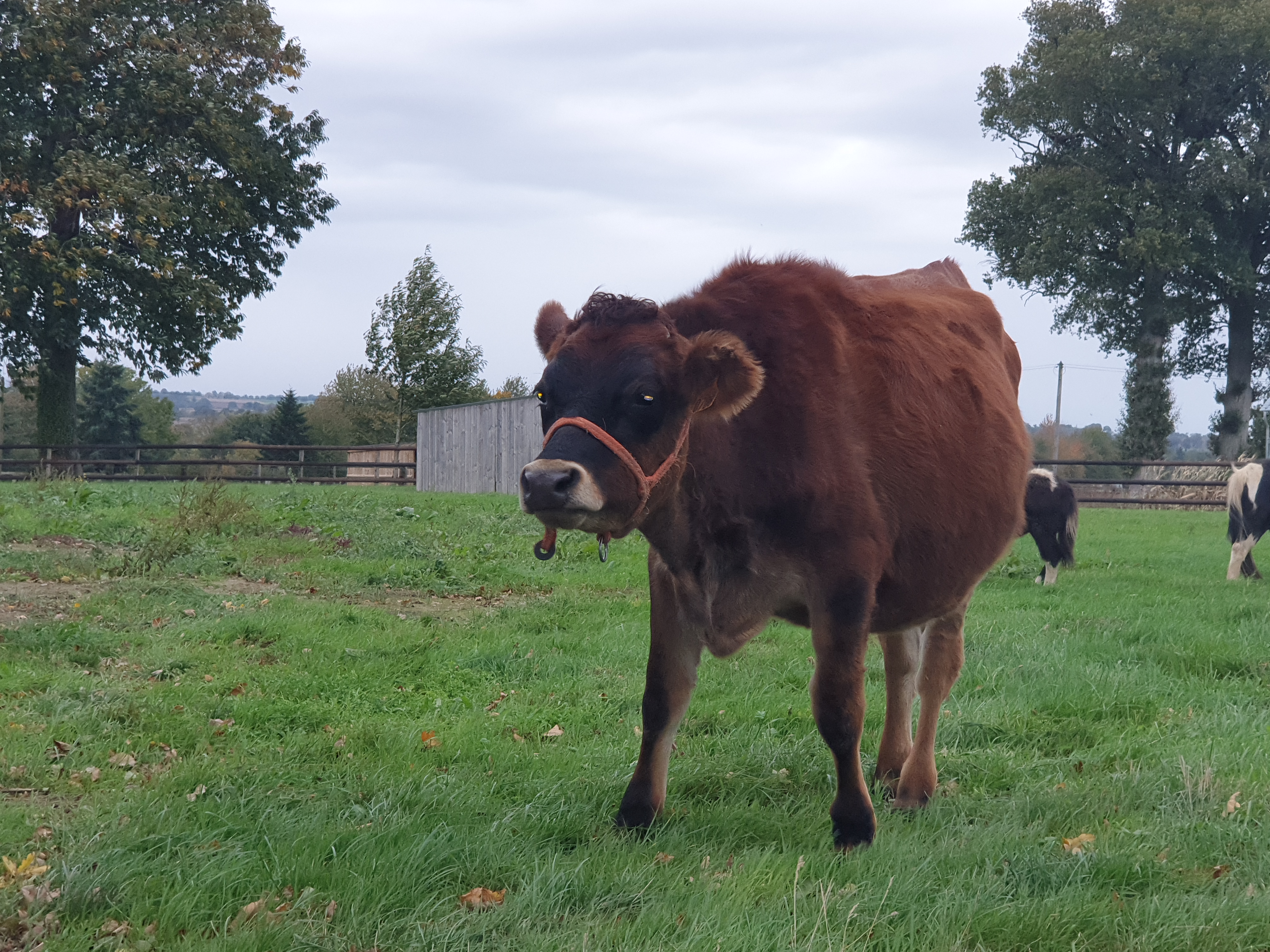 Photo n° 5 de l'avis de Jorge.a fait le 27/10/2019 à 08:23