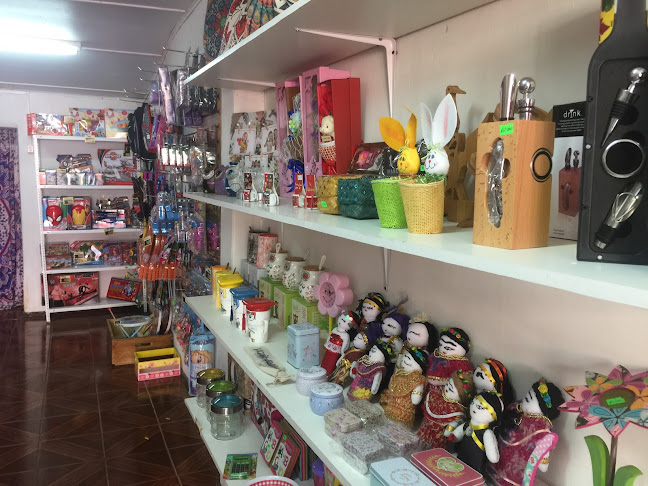 Opiniones de El rincon de paz en Vicuña - Tienda