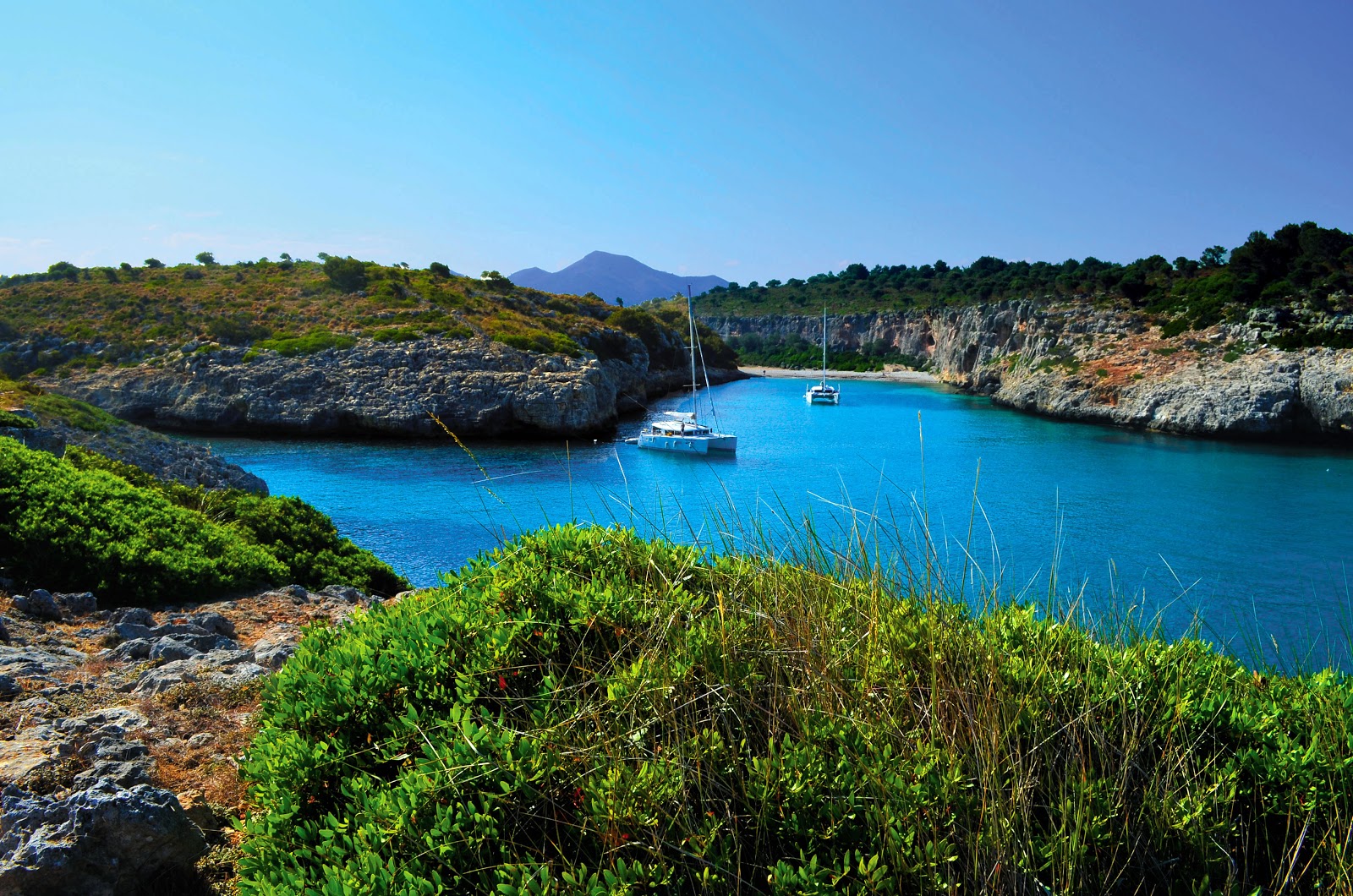 Cala Pilota的照片 带有小海湾