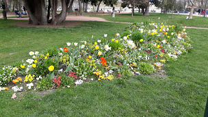 Photo n°28 de Le Libellule - Bateau Restaurant à Annecy ()