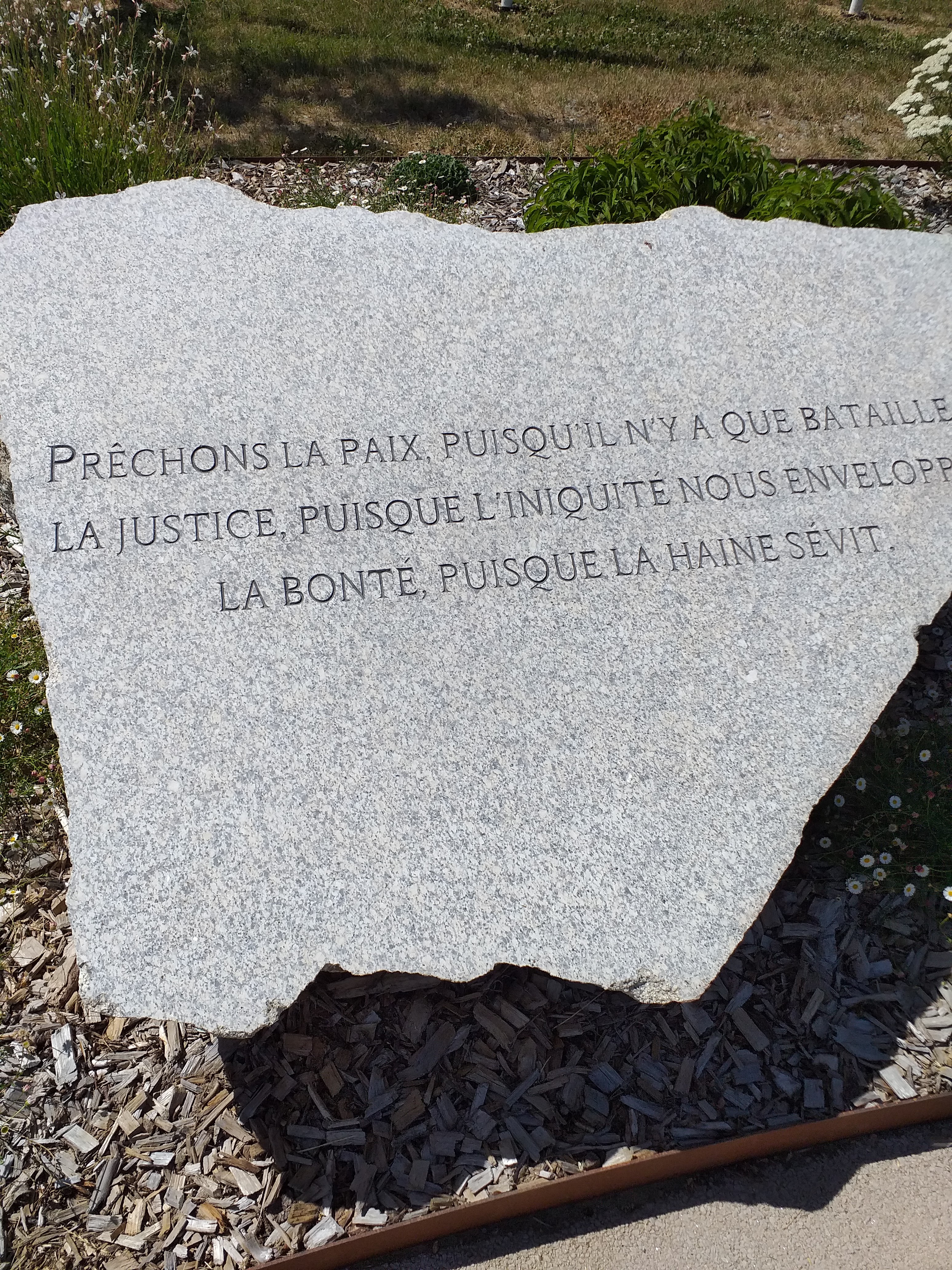 Photo n° 1 de l'avis de Serge.o fait le 19/07/2020 à 16:13