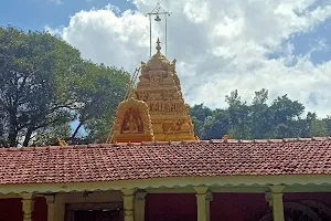 Nirvanaswamy Temple image