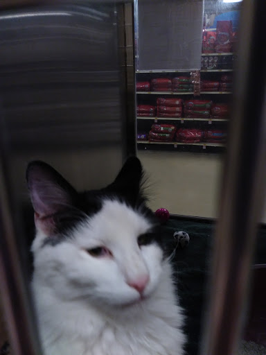 Pet Supply Store «PetSmart», reviews and photos, 1559 Merritt Blvd, Dundalk, MD 21222, USA