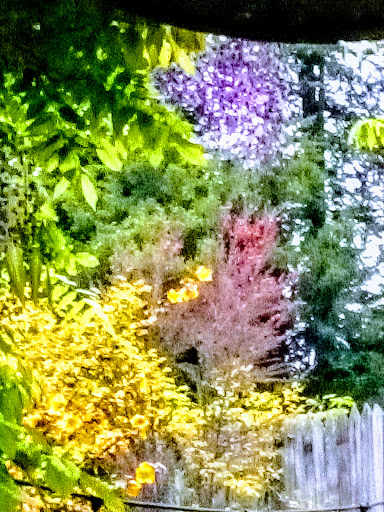 Market «La Honda Market», reviews and photos, 8865 La Honda Rd, La Honda, CA 94020, USA