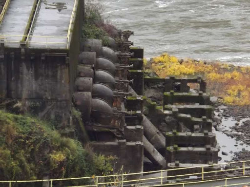 History Museum «Museum of the Oregon Territory», reviews and photos, 211 Tumwater Dr, Oregon City, OR 97045, USA