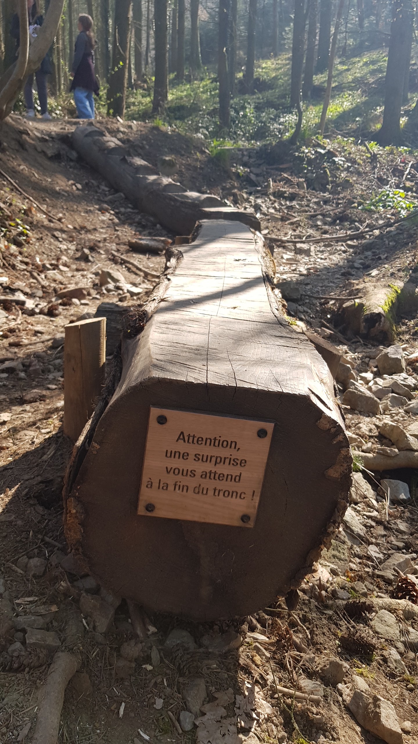 Photo n° 14 de l'avis de Nyko.a fait le 26/03/2022 à 17:25